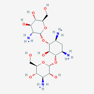 molecular formula C18H40N4O11+4 B1265036 卡那霉素 C(4+) 