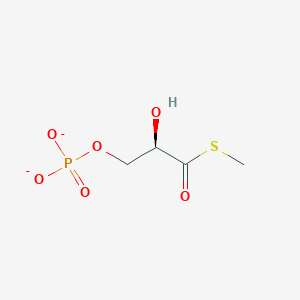 molecular formula C4H7O6PS-2 B1265062 S-甲基 3-O-膦酸基-1-硫代-D-甘油酸(2-) 