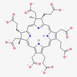 molecular formula C42H38N4O16-8 B1265100 Sirohydrochlorin(8-) 