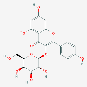 molecular formula C21H19O11- B1265130 山奈酚 3-O-β-D-半乳糖苷(1-) 