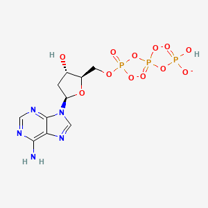 molecular formula C10H13N5O12P3-3 B1265137 dATP trianion 