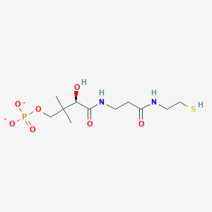 molecular formula C11H21N2O7PS-2 B1265140 D-pantetheine 4'-phosphate(2-) 