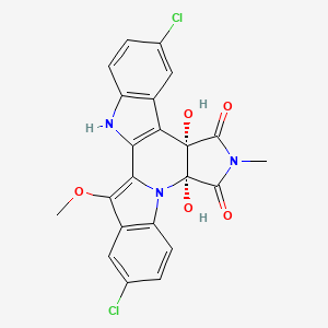 molecular formula C22H15Cl2N3O5 B1265193 枝衣酰胺 B 