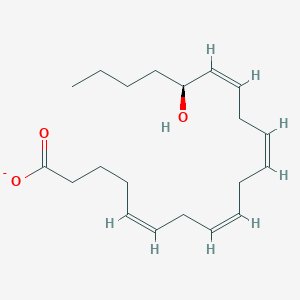 (5Z,8Z,11Z,14Z,16S)-16-hydroxyeicosa-5,8,11,14-tetraenoate
