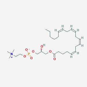 molecular formula C28H50NO7P B1265216 1-Arachidonoyl-sn-glycero-3-phosphocholine CAS No. 60701-99-7