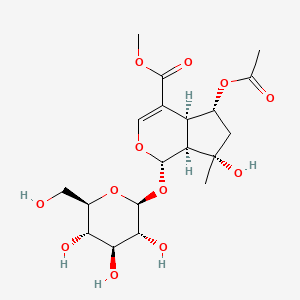molecular formula C19H28O12 B1265266 6-O-Acetylshanzhiside Methyl Ester 