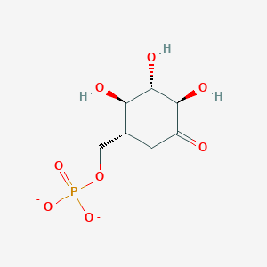 molecular formula C7H11O8P-2 B1265292 Validone 7-phosphate(2-) 