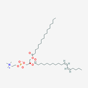 molecular formula C42H80NO8P B1265298 1-十六烷酰基-2-(11Z,13Z-十八二烯酰基)-sn-甘油-3-磷酸胆碱 