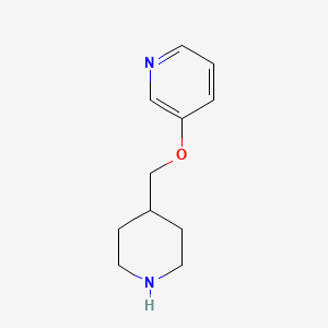 molecular formula C11H16N2O B1265346 3-(哌啶-4-基甲氧基)吡啶 CAS No. 933758-81-7