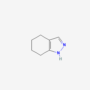 molecular formula C7H10N2 B1265808 4,5,6,7-四氢-1H-吲唑 CAS No. 2305-79-5