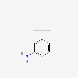 molecular formula C10H15N B1265813 3-叔丁基苯胺 CAS No. 5369-19-7