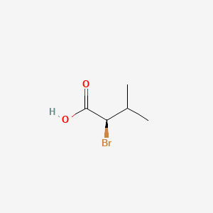molecular formula C5H9BrO2 B1265861 (R)-2-溴-3-甲基丁酸 CAS No. 76792-22-8