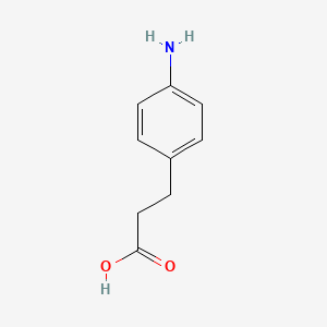 molecular formula C9H11NO2 B1265867 3-(4-氨基苯基)丙酸 CAS No. 2393-17-1