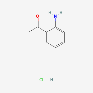 molecular formula C8H10ClNO B1265949 2'-氨基苯乙酮盐酸盐 CAS No. 25384-14-9