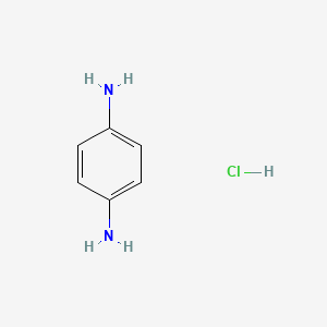 molecular formula C6H9ClN2 B1266153 对苯二胺盐酸盐 CAS No. 540-24-9