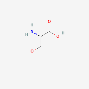 molecular formula C4H9NO3 B1266423 O-甲基丝氨酸 CAS No. 4219-94-7