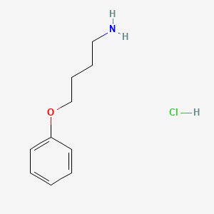 B1266776 4-Phenoxybutan-1-amine hydrochloride CAS No. 64037-61-2