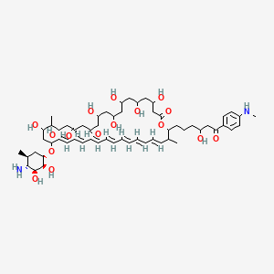 N-Succinylperimycin