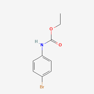 molecular formula C9H10BrNO2 B1266934 N-(4-溴苯基)氨基甲酸乙酯 CAS No. 7451-53-8