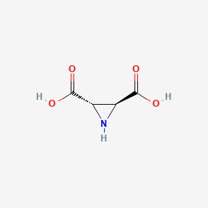 2,3-Dicarboxyaziridine