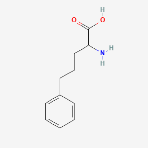 B1267188 2-Amino-5-phenylpentanoic acid CAS No. 2046-19-7