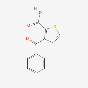 molecular formula C12H8O3S B1267301 3-苯甲酰基-2-噻吩甲酸 CAS No. 30006-03-2