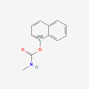 Carbamic acid, methyl-, 1-naphthyl-1-14C ester