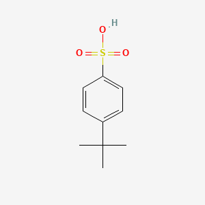 molecular formula C10H14O3S B1267422 4-叔丁基苯磺酸 CAS No. 1133-17-1