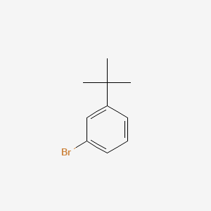 molecular formula C10H13B B1267464 1-溴-3-叔丁基苯 CAS No. 3972-64-3
