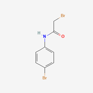 molecular formula C8H7Br2NO B1267510 2-Bromo-n-(4-bromophenyl)acetamide CAS No. 5439-13-4