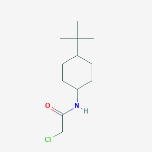 B1267814 N-(4-tert-butylcyclohexyl)-2-chloroacetamide CAS No. 500887-21-8