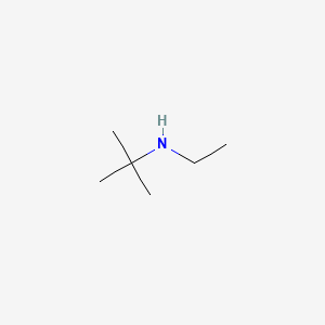 molecular formula C6H15N B1268049 N-tert-Butylethylamine CAS No. 4432-77-3