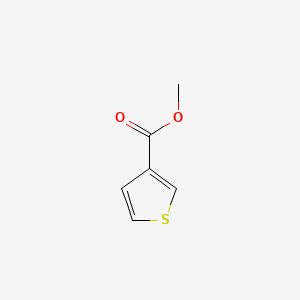 molecular formula C6H6O2S B1268378 甲基3-噻吩羧酸酯 CAS No. 22913-26-4