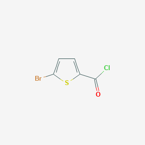 molecular formula C5H2BrClOS B1268417 5-溴噻吩-2-羰基氯 CAS No. 31555-60-9