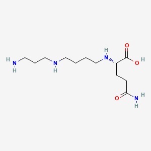 N(1)-(gamma-Glutamyl)spermidine