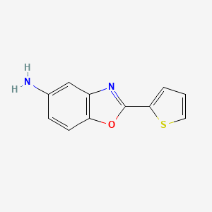 molecular formula C11H8N2OS B1268990 2-噻吩-2-基苯并恶唑-5-胺 CAS No. 52331-74-5