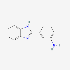molecular formula C14H13N3 B1269583 5-(1H-Benzoimidazol-2-yl)-2-methyl-phenylamine CAS No. 292644-33-8