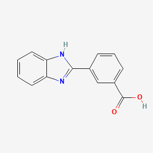molecular formula C14H10N2O2 B1269621 3-(1H-benzimidazol-2-yl)benzoic acid CAS No. 402944-81-4