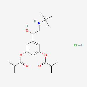 molecular formula C20H32ClNO5 B12699746 Einecs 260-823-8 CAS No. 57576-17-7