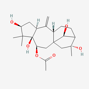 molecular formula C22H34O6 B12700789 [(3S,4R,6S,8S,10S,14R,16S)-4,6,14,16-tetrahydroxy-5,5,14-trimethyl-9-methylidene-3-tetracyclo[11.2.1.01,10.04,8]hexadecanyl] acetate 