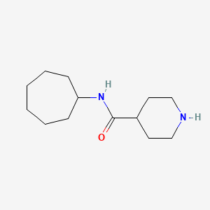 molecular formula C13H24N2O B1271245 N-环庚基哌啶-4-甲酰胺 CAS No. 429632-06-4