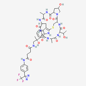 Phalloidin, 7-(5-((1,4-dioxo-4-((4-(3-(trifluoromethyl)-3H-diazirin-3-yl)phenyl)amino)butyl)amino)-4-hydroxy-L-leucine)-