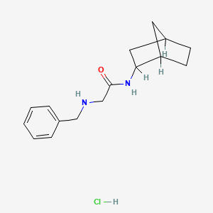 2-(Benzylamino)-N-(2-norbornanyl)acetamide hydrochloride