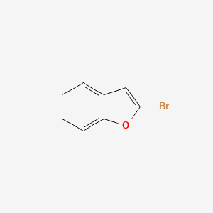 molecular formula C8H5BrO B1272952 2-溴苯并呋喃 CAS No. 54008-77-4