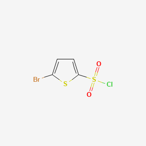 molecular formula C4H2BrClO2S2 B1273042 5-溴噻吩-2-磺酰氯 CAS No. 55854-46-1