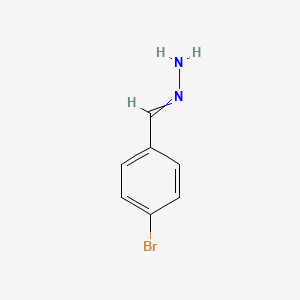 molecular formula C7H7BrN2 B1273411 苯甲醛，4-溴-，腙 CAS No. 57477-93-7