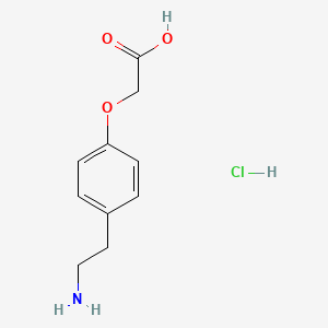 molecular formula C10H14ClNO3 B1274224 2-[4-(2-Aminoethyl)phenoxy]acetic acid hydrochloride CAS No. 55458-85-0