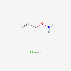 molecular formula C3H8ClNO B1274267 O-烯丙基羟胺盐酸盐 CAS No. 38945-21-0