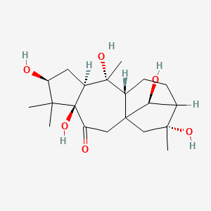 6-Ketograyanotoxin III