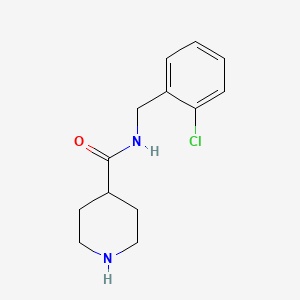 molecular formula C13H17ClN2O B1274377 N-(2-氯苄基)哌啶-4-甲酰胺 CAS No. 429631-11-8